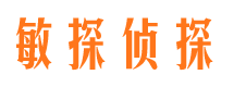 鲤城市侦探调查公司